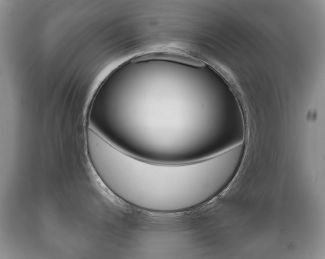 X0000089721200200706210846