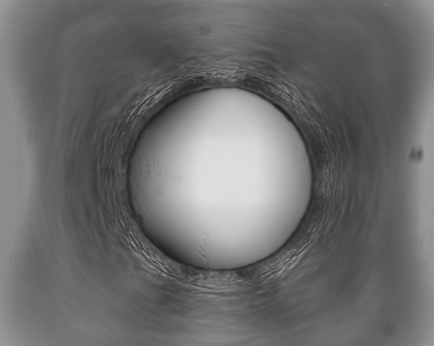 X0000089721201200706210846