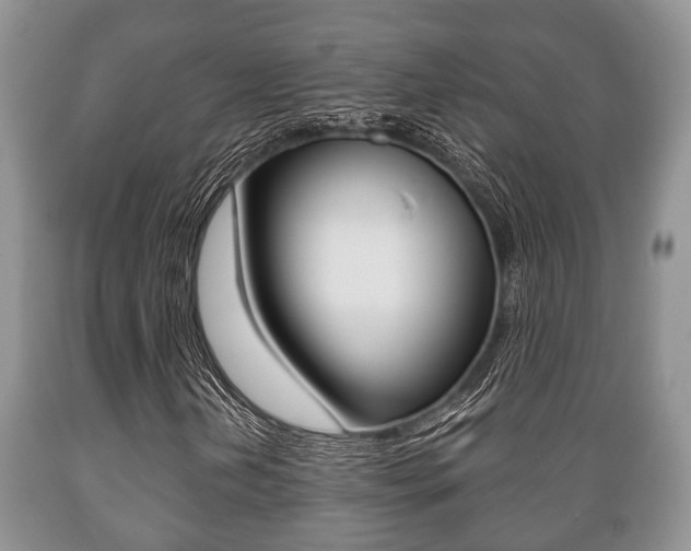 X0000089721202200706210846