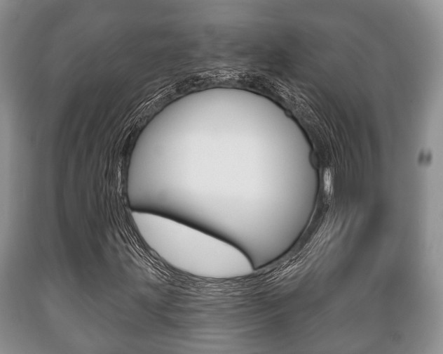 X0000089721203200706210846