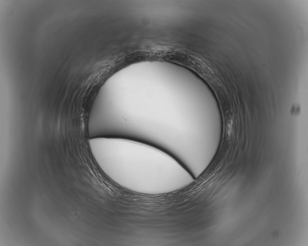 X0000089721204200706210846