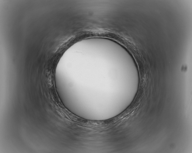 X0000089721205200706210846