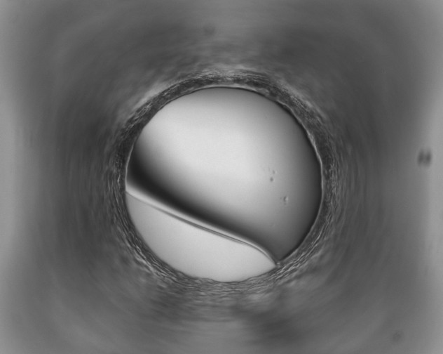 X0000089721206200706210846