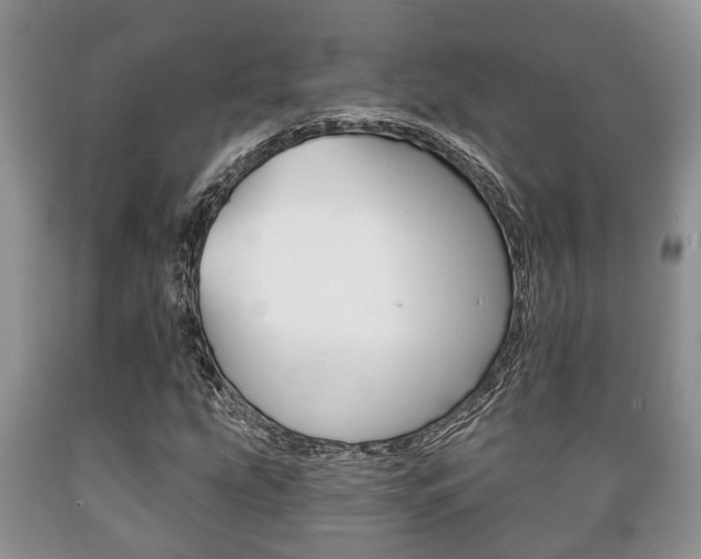 X0000089721207200706210846
