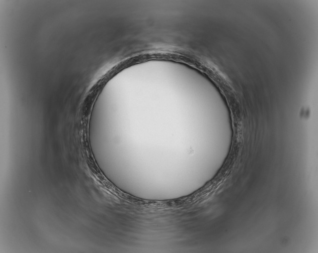 X0000089721208200706210846