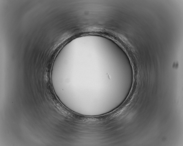 X0000089721209200706210846