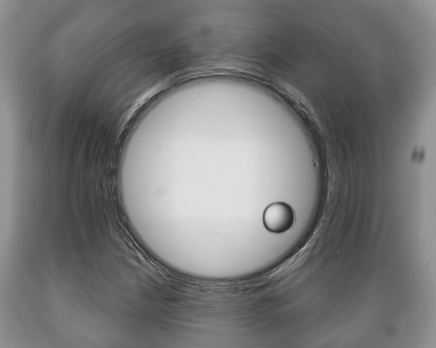 X0000089721210200706210846