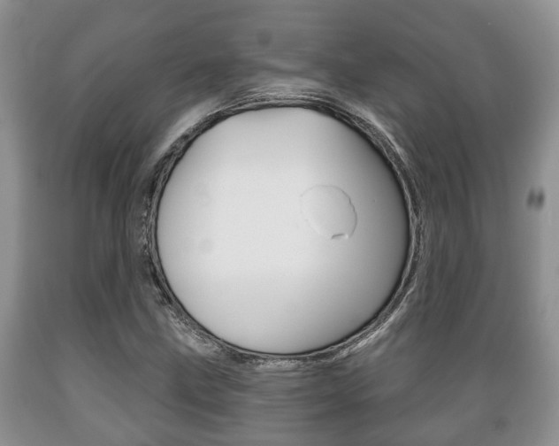 X0000089721211200706210846