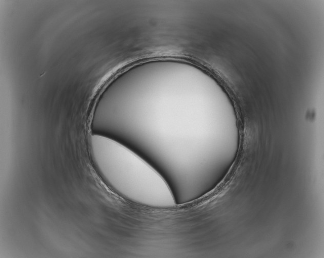 X0000089721212200706210846