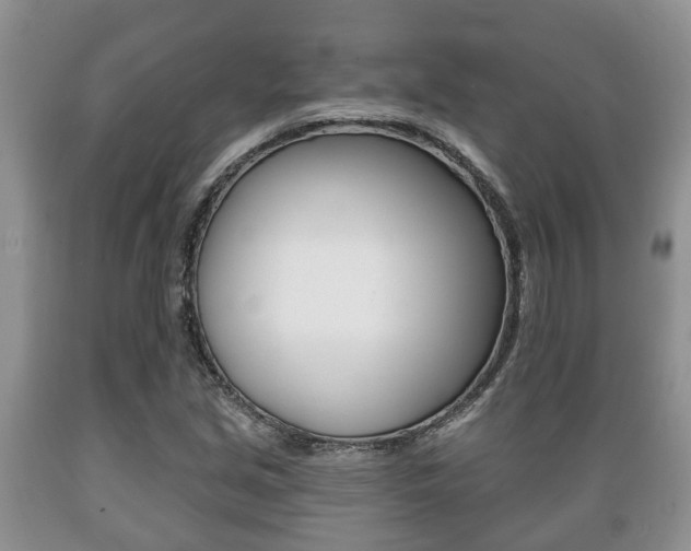 X0000089721213200706210846