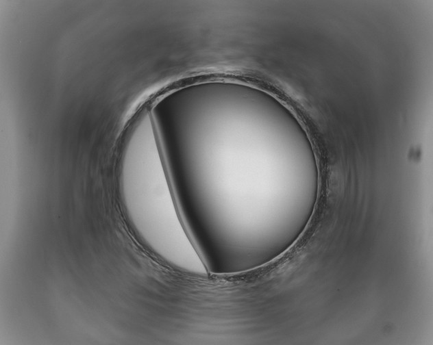 X0000089721214200706210846