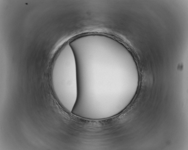 X0000089721215200706210846
