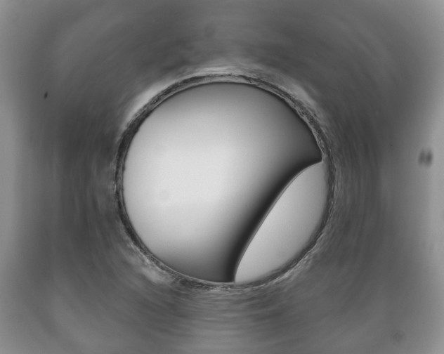 X0000089721216200706210846