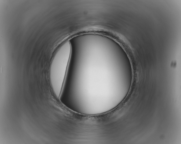 X0000089721217200706210846