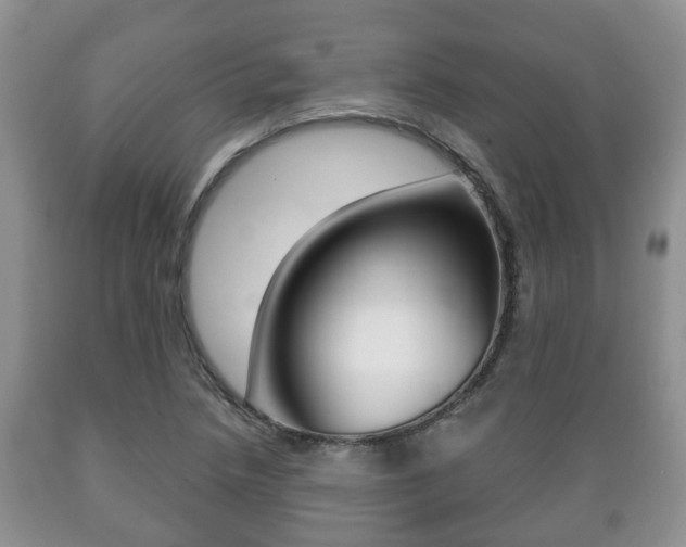 X0000089721218200706210846