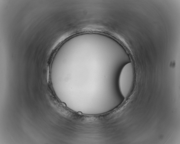 X0000089721219200706210846