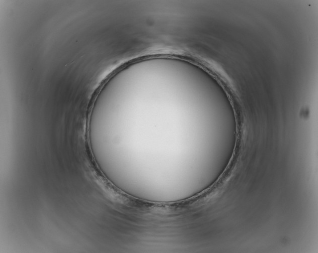 X0000089721220200706210846