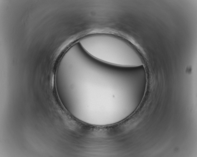 X0000089721221200706210846