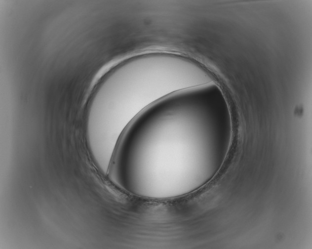 X0000089721222200706210846