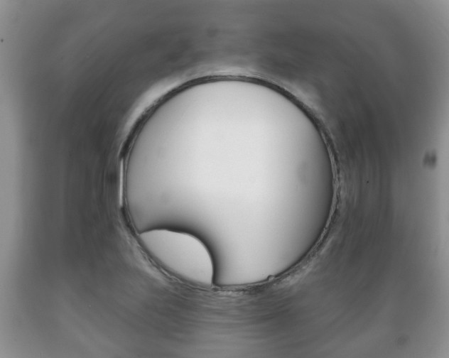 X0000089721223200706210846