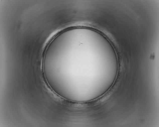 X0000089721224200706210846