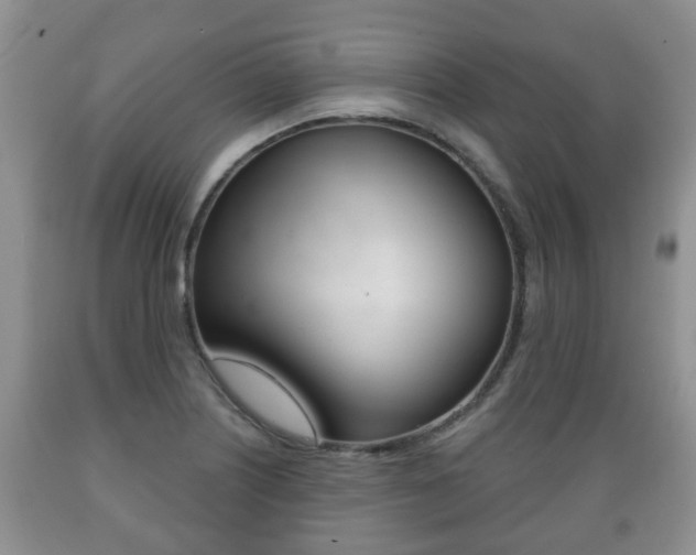 X0000089721226200706210846