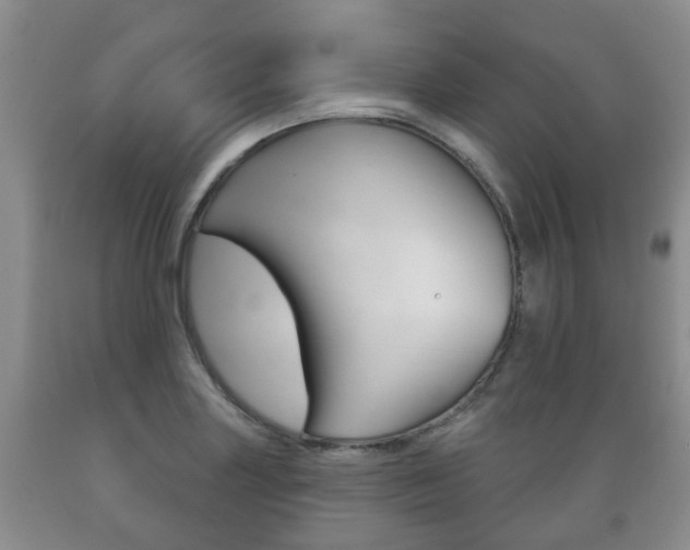 X0000089721227200706210846