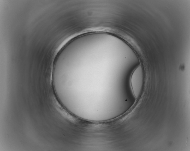 X0000089721228200706210846
