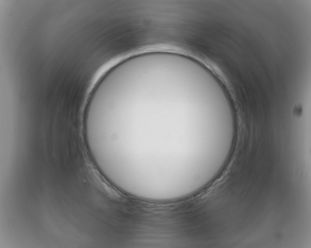 X0000089721230200706210846