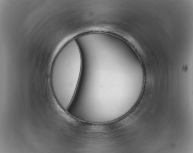 X0000089721232200706210846