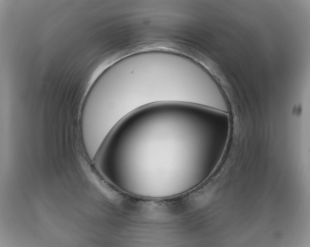 X0000089721234200706210846