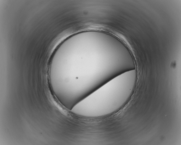 X0000089721235200706210846
