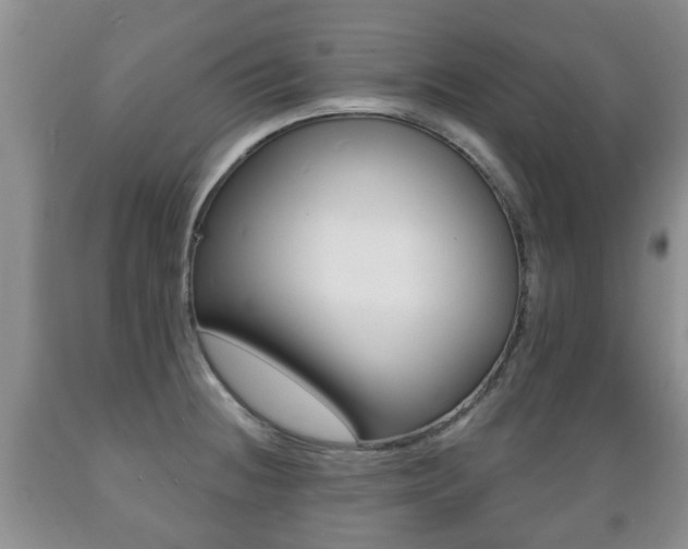 X0000089721236200706210846
