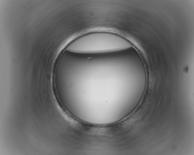 X0000089721237200706210846