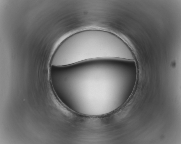 X0000089721238200706210846