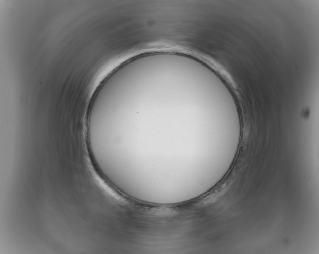 X0000089721239200706210846