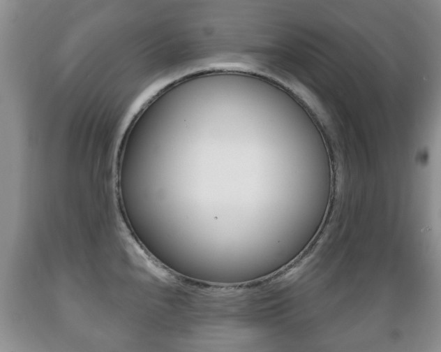 X0000089721240200706210846