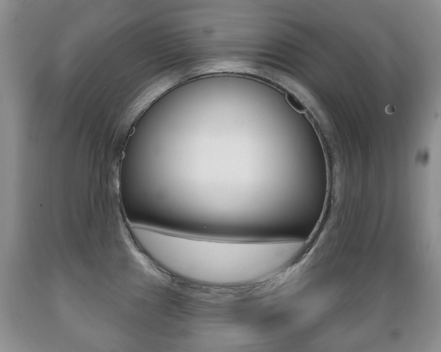 X0000089721241200706210846
