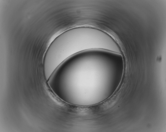 X0000089721242200706210846