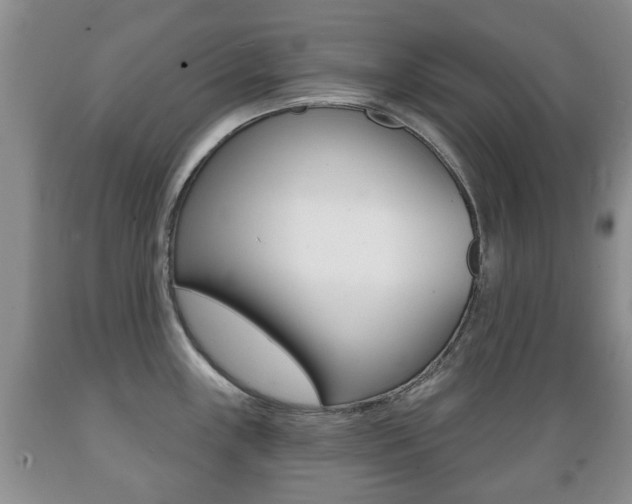X0000089721243200706210846