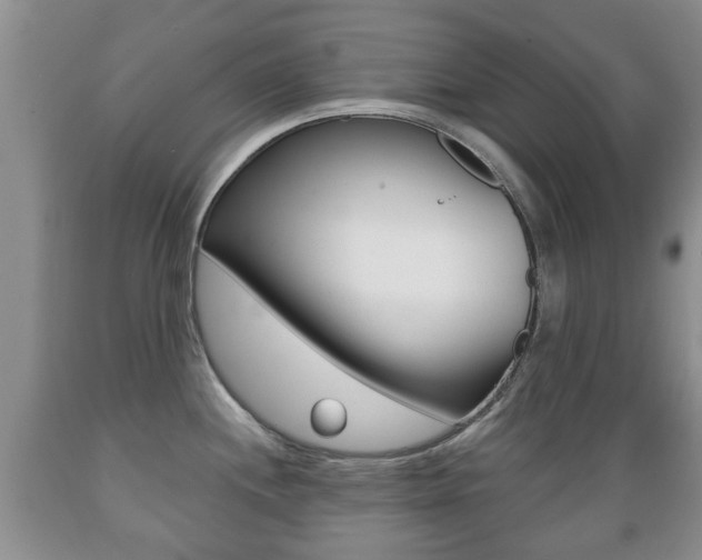 X0000089721244200706210846