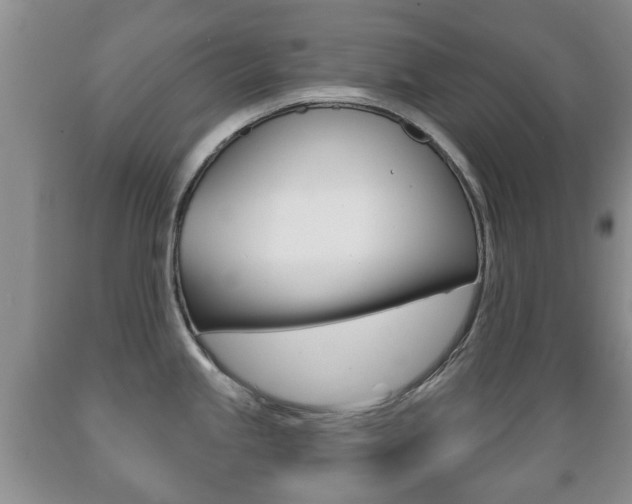 X0000089721245200706210846