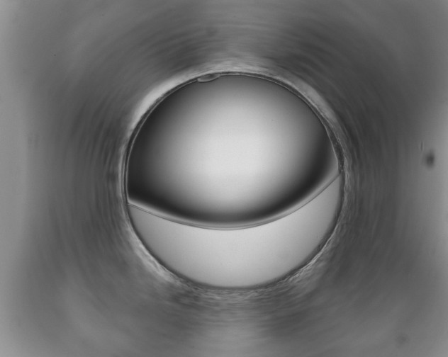 X0000089721246200706210846