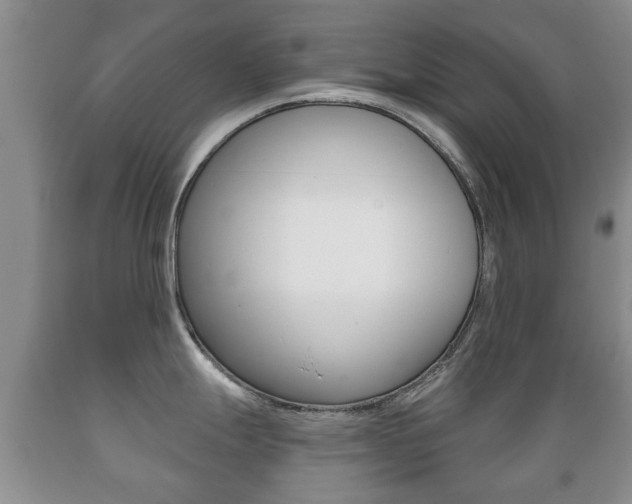 X0000089721247200706210846