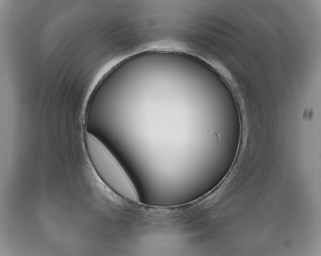 X0000089721248200706210846