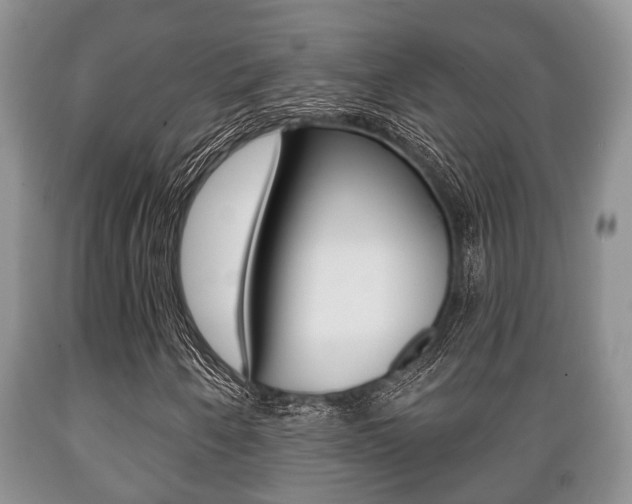 X0000089721250200706210846