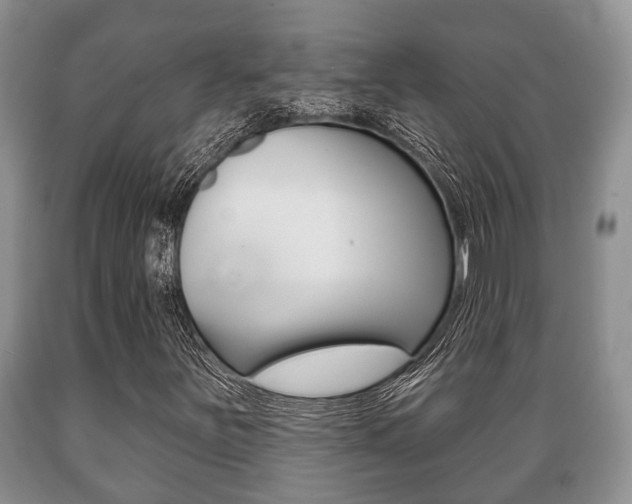 X0000089721251200706210846
