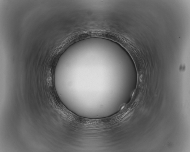 X0000089721252200706210846