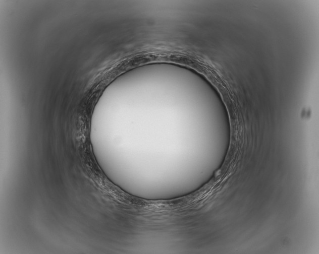 X0000089721253200706210846