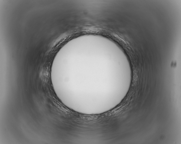 X0000089721254200706210846